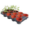 Growing Pots 11cm 12 Pack