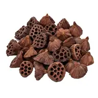 Lotus Heads 50 Pack