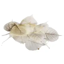 Peepal Net Leaves Natural 100 Pack