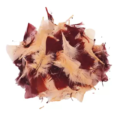 Artyom Feathers Assorted Natural 50g