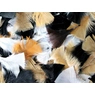 Artyom Feathers Assorted Natural 50g
