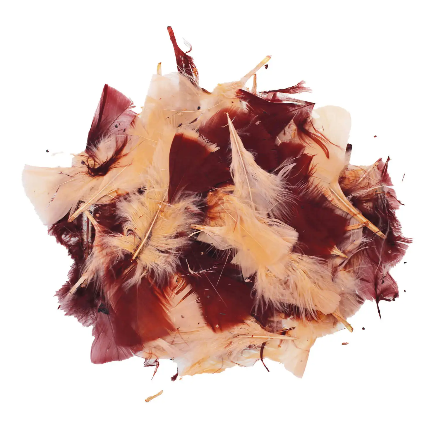Artyom Feathers Assorted Natural 50g G2p100