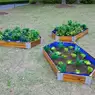 Little Garden Hexagonal Planting Set