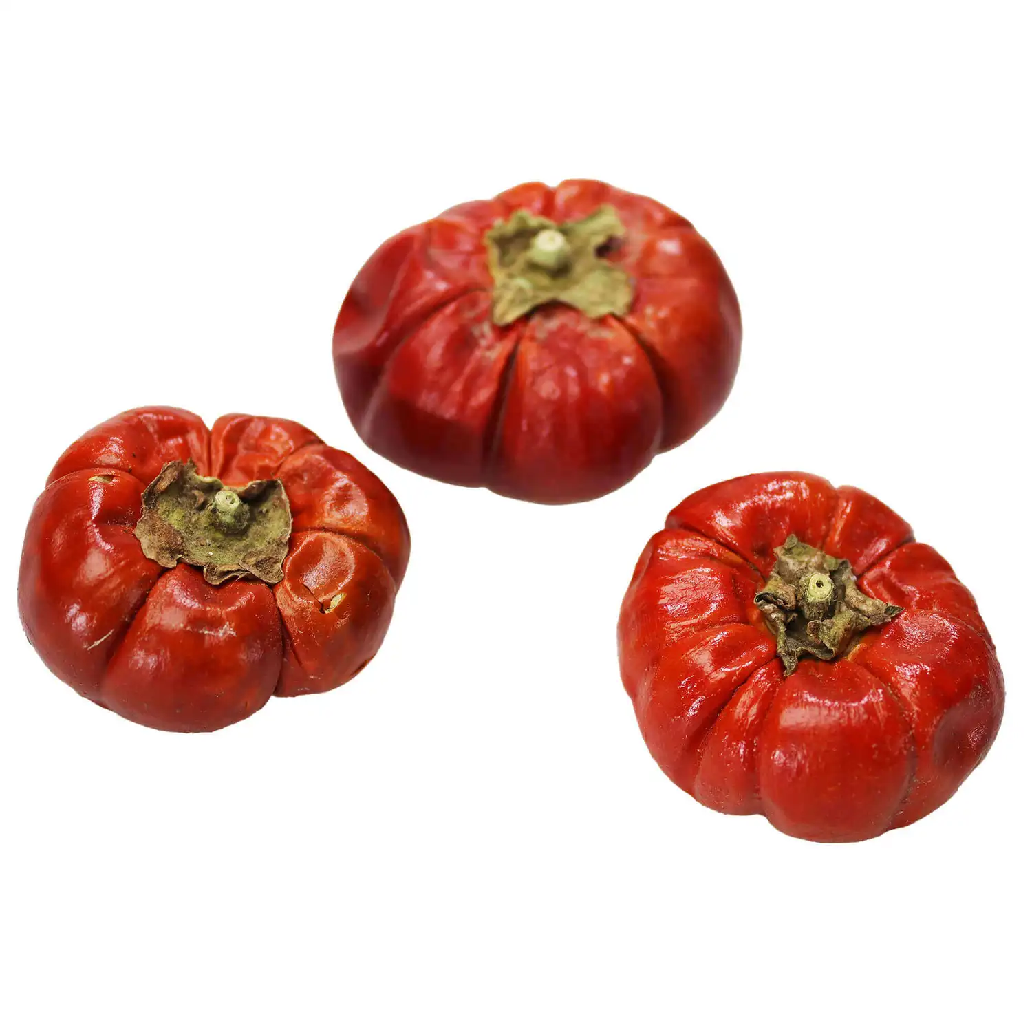 Dried Mini Pumpkins 10 Pack