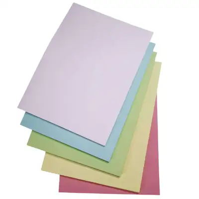 Artyom A4 Paper Assorted Pastels 80gsm 500 Sheets G2p100