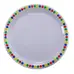Swixz Melamine Dinner Plate 9"/230mm Patterned Rim 12pk G2p100