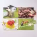 Mini Beasts Puzzle 18 Piece 8 Pack