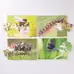 Mini Beasts Puzzle 18 Piece 8 Pack