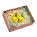 Artyom Fluffy Chicks 36 Pack