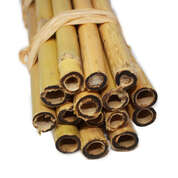 Bamboo Sticks 15 Pack