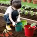 Mini Gardening Tools 3 Pack