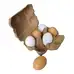 Olly and Oby Wooden Eggs in Carton