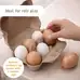 Olly and Oby Wooden Eggs in Carton