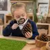 Giant Pine Cones 5 Pack