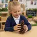 Giant Pine Cones 5 Pack