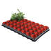 Seed and Cutting Pots 6cm 40 Pack