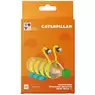 Caterpillar Crafts Kit