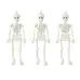 Halloween Glow in The Dark Skeletons 16 Pack