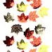 Artyom Assorted Leaf Confetti 80g