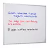 Whiteboard Magnetic