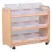 Tilt Tote Storage With Clear Tubs