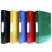 A4 Colour Ring Binders Only £9.99 For 10!
