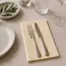Lunch Napkins 2 Ply 33x33cm 100 Pack