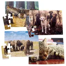 Animal Puzzle 12 Piece