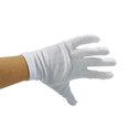 Cotton Gloves