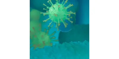 Biofilm Makes Germs Tougher